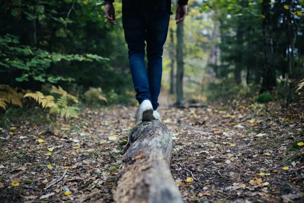 Person walking on a log in forest trail.